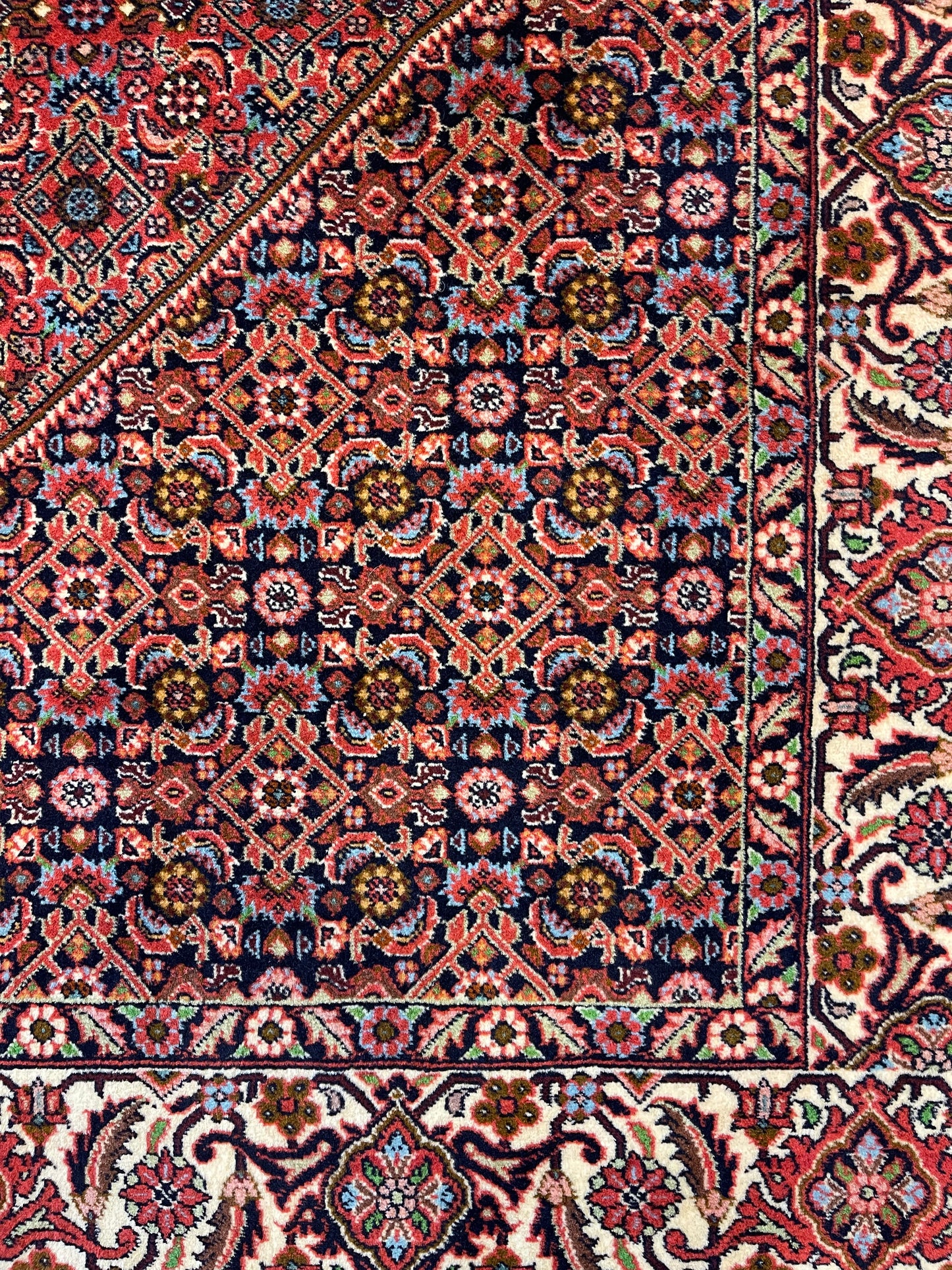 Tapis noué main Bidjar