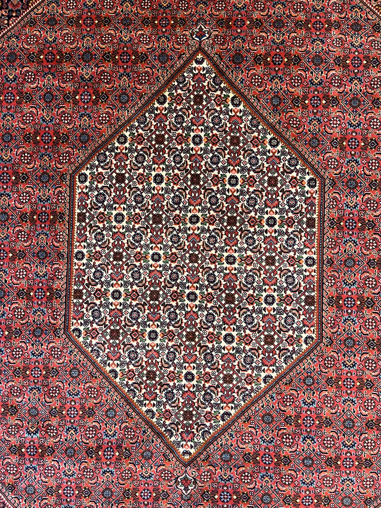 Tapis noué main Bidjar