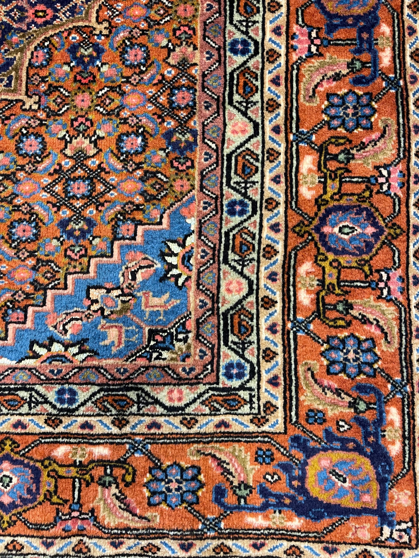 Hand-knotted carpet Seneh