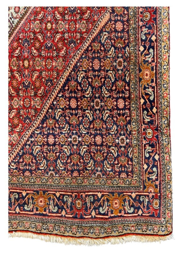 Handgeknoopt tapijt Bidjar