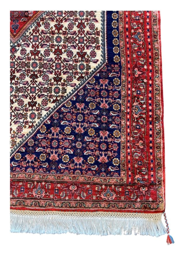 Handgeknoopt tapijt Bidjar