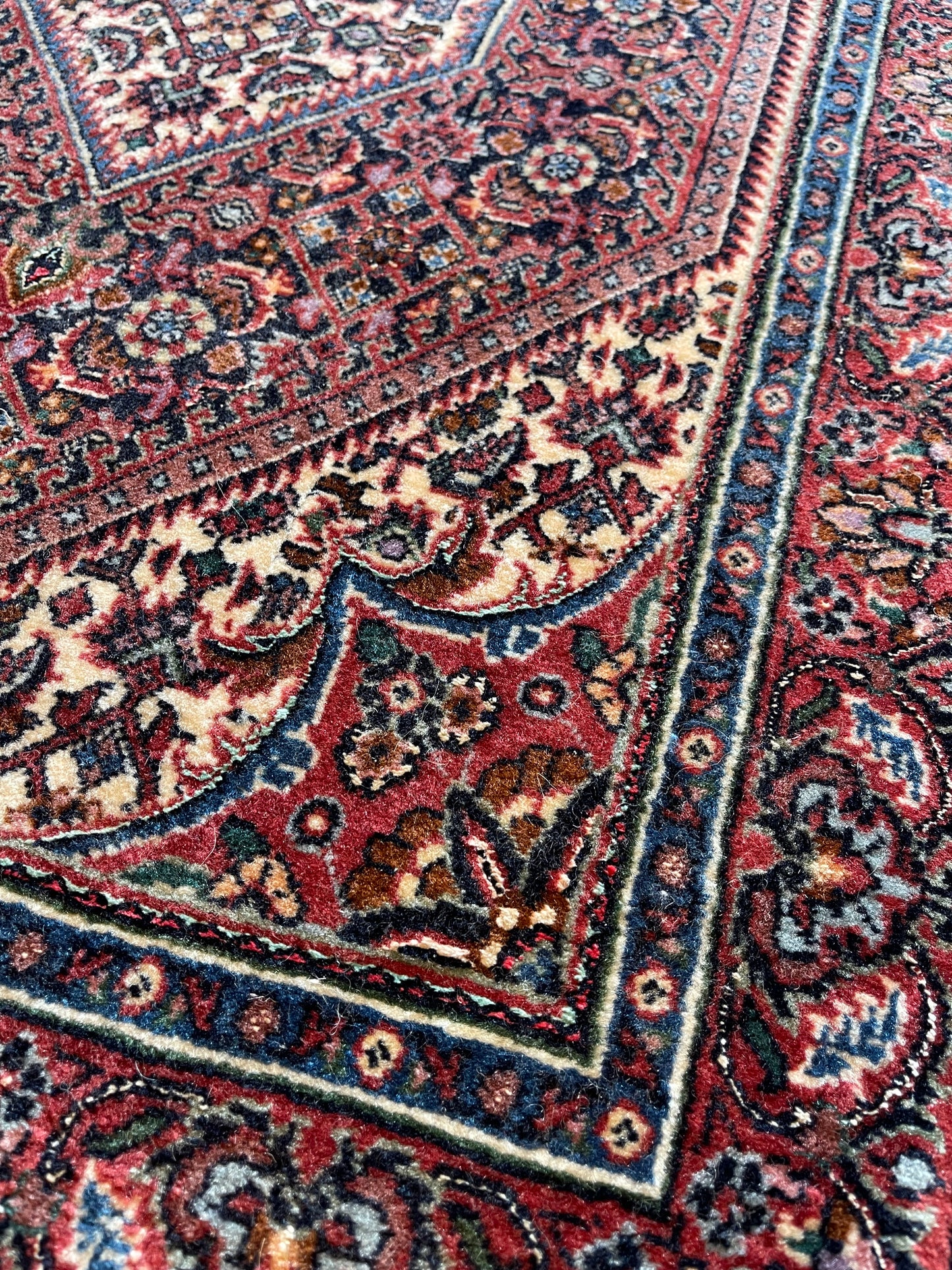 Handgeknoopt tapijt Bidjar