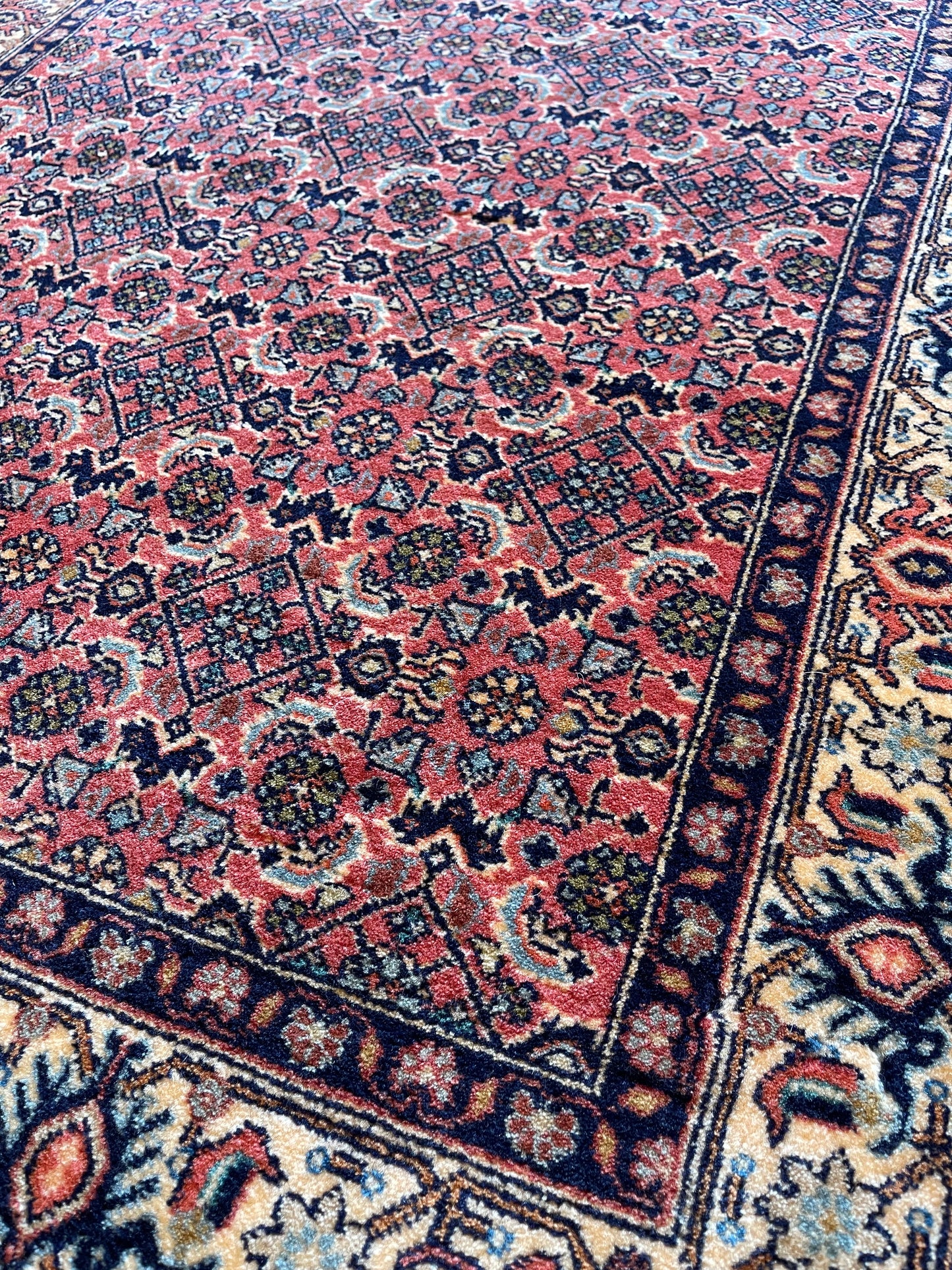 Handgeknoopt tapijt Bidjar