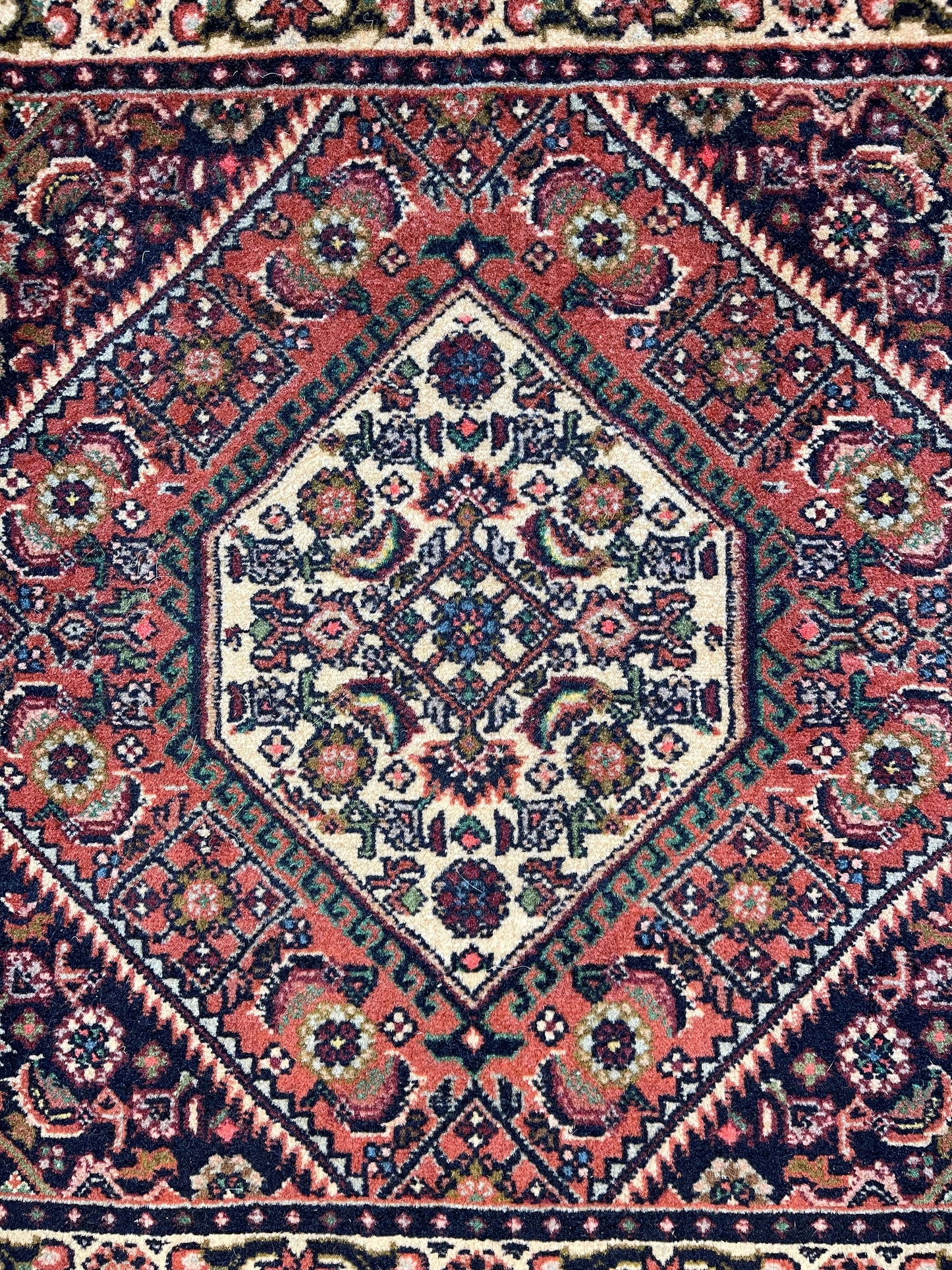 Handgeknoopt tapijt Bidjar