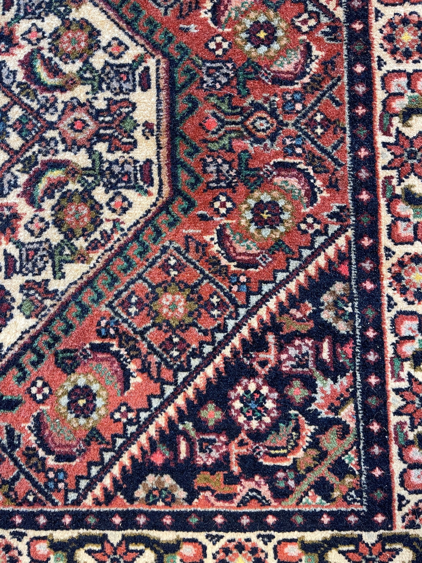 Handgeknoopt tapijt Bidjar