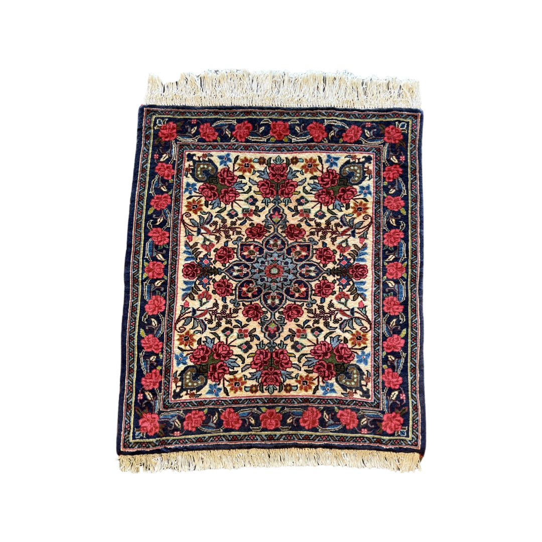 Handgeknoopt tapijt Bidjar