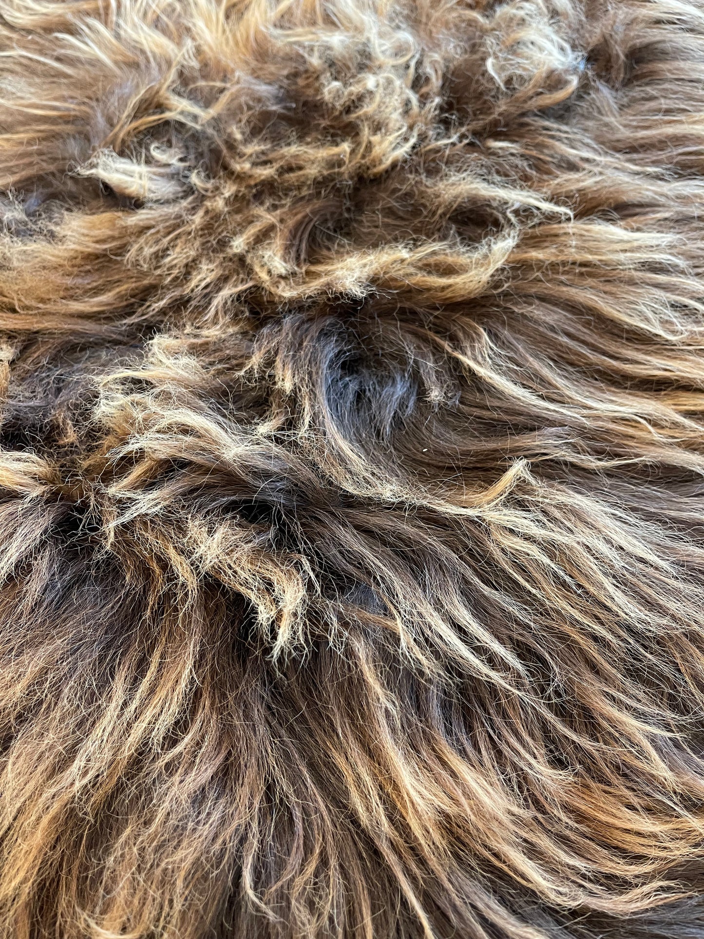 Sheepskin Iceland
