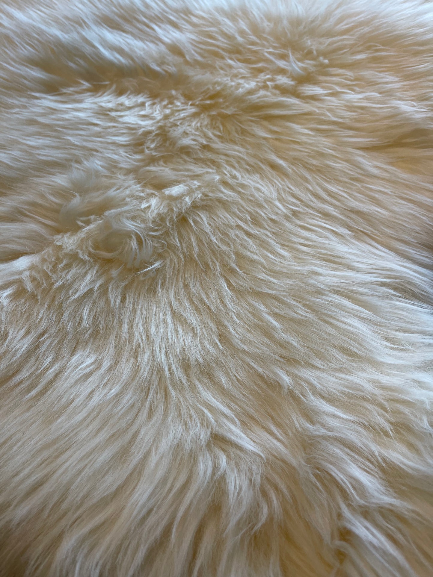 Sheepskin white