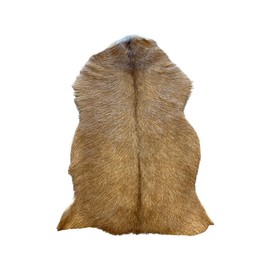 Goat skin