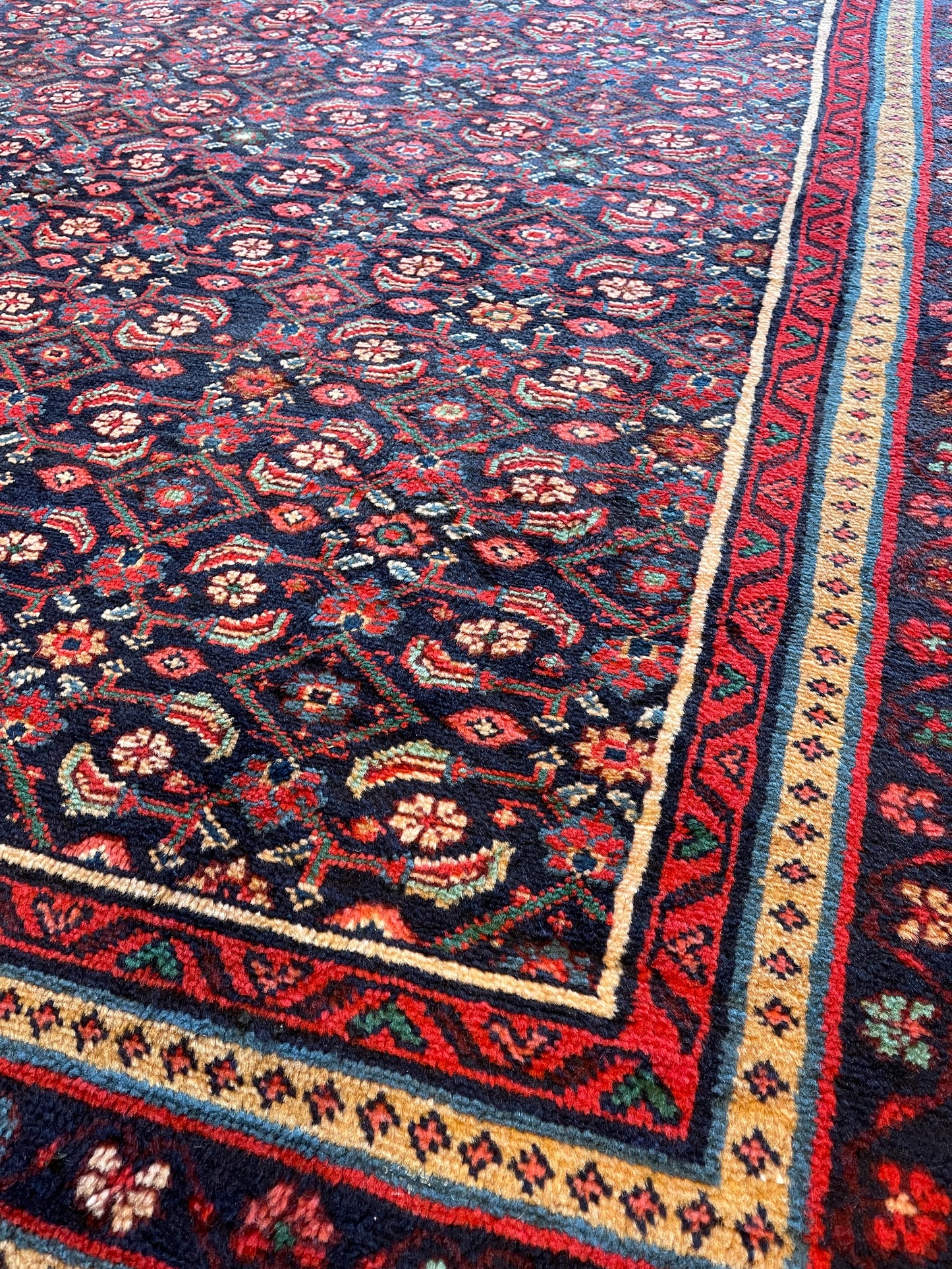 Handgeknoopt tapijt Mahal